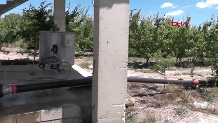 Hatay Türkiye'de En Erken Yetişen Kayısının Hasadı Başladı