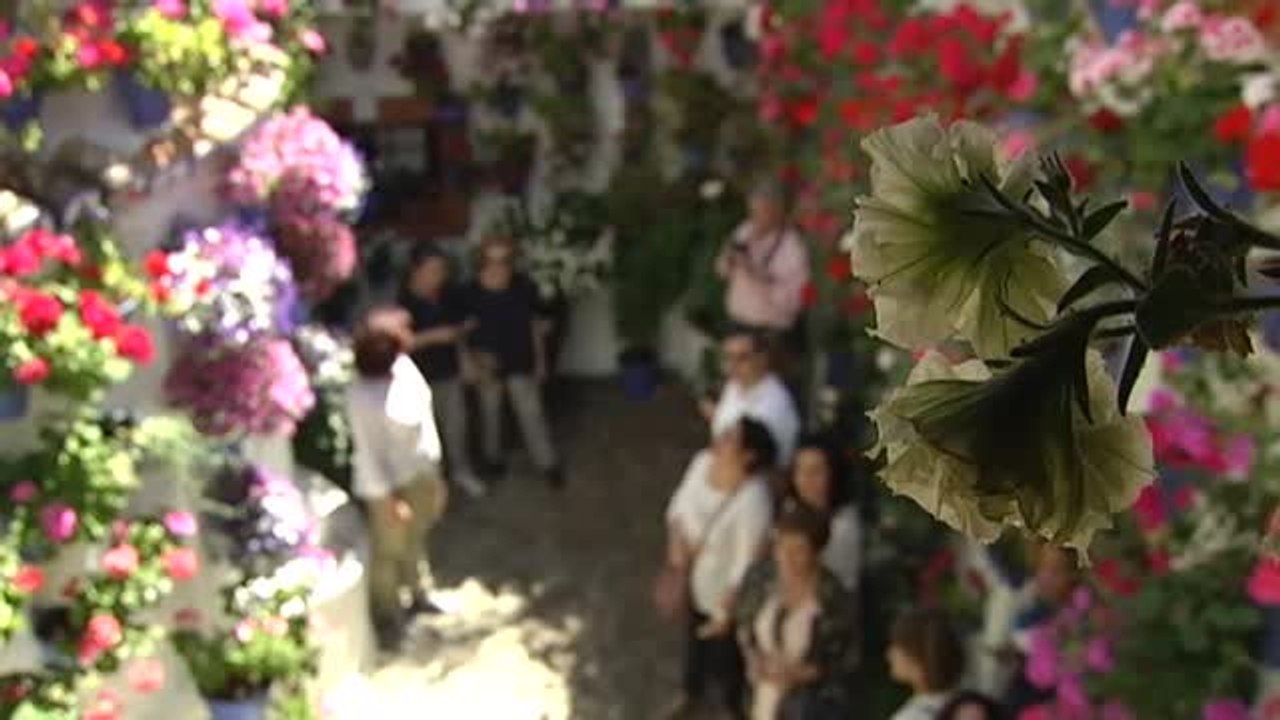 La Fiesta de los Patios de Córdoba sigue creciendo en popularidad
