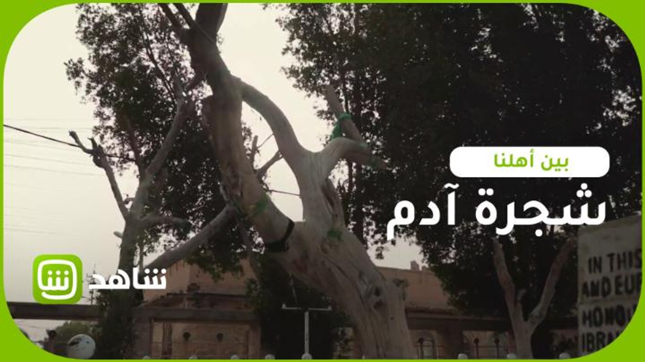 #بين_أهلنا | سر شجرة آدم يكشفه برنامج بين أهلنا في جولة بالقرنة العراقية