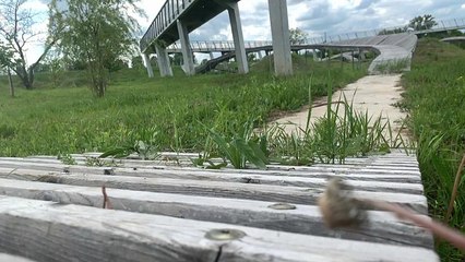 #EUroadtrip in Ungarn: Sind die EU-Gelder sinnvoll eingesetzt?