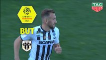 But Flavien TAIT (87ème) / Angers SCO - Paris Saint-Germain - (1-2) - (SCO-PARIS) / 2018-19