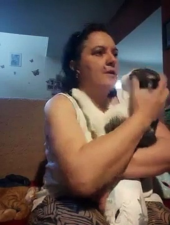 Ce chat handicapé est tellement reconnaissant envers sa maitresse... Magnifique