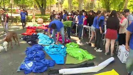 Reivindicación en Madrid de los Objetivos de Desarollo Sostenible