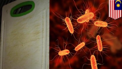 古いまな板はトイレの便座より汚い!? - トモニュース