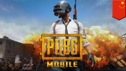 PUBG mobile replaced by lame blood-free clone in China