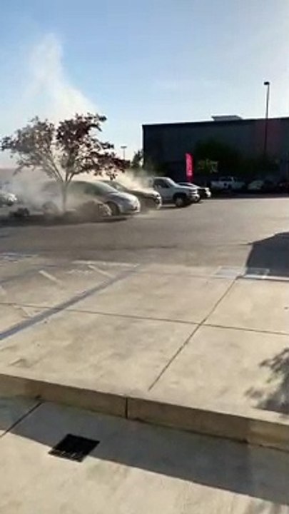 Suspicious Possum Walks Away from Car Fire