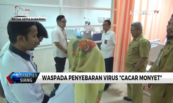Waspada Penyebaran Virus Cacar Monyet Asal Singapura