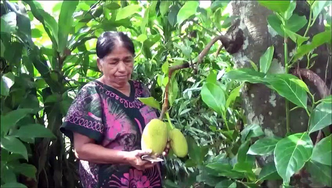 Village Aliments  Village de Style Escalopes de préparés dans mon Village par ma Maman