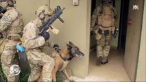 Entrainés comme des soldats, regardez comment sont formés les chiens de l'armée - Vidéo