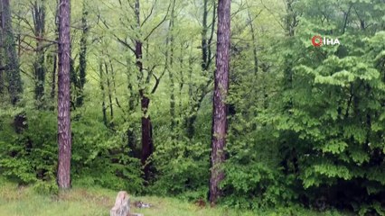 Baharla birlikte yeşeren Kazdağları havadan görüntülendi