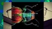 Microsculpture: Portraits of Insects  For Kindle