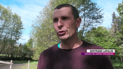 Les dernières pluies suffiront-elles aux agriculteurs ligériens?