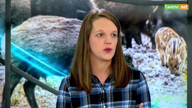 L'Avenir - Élections mai 26 mai 2019 : débat de l'avenir du Luxembourg : la peste porcine - (30 minutes)