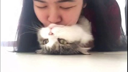'Who's a pretty cat?' Kitty loves getting smooches from his owner