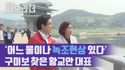 ‘어느 물이나 녹조현상 있다’ 4대강 구미보 찾은 황교안 대표, 듣고 싶은 말은?   [C브라더]