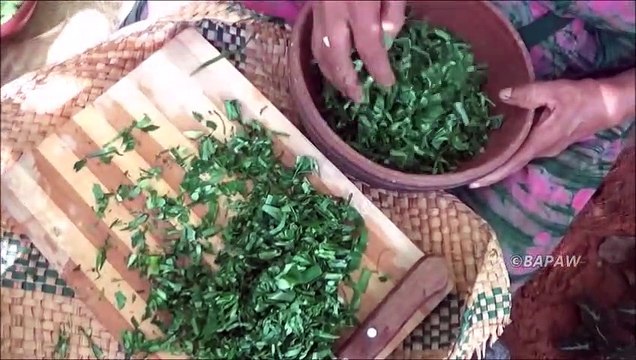 Des Aliments sains de Cuisson / Vert des Feuilles de Taro dans mon Village, ma Mère / la Vie du Village