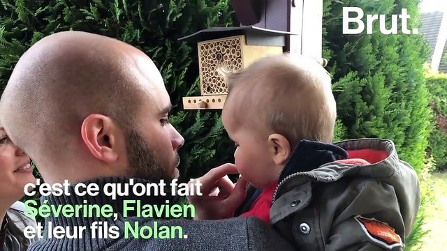 Et si vous adoptiez vos propres abeilles sauvages ?