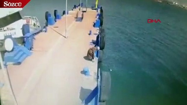 Denize atlayan kadını böyle kurtardı