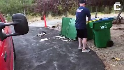 Il libère 3 oursons coincés dans une poubelle