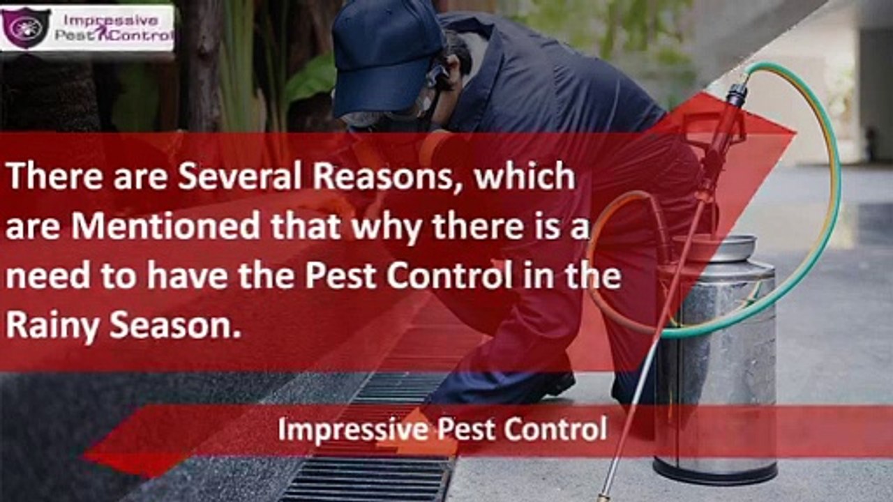 Why it is Important to get Residential Pest Control Before the Rainy Season