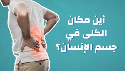 مكان الكلى في الجسم: تعرف عليه