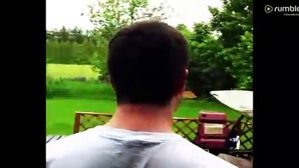 Ces jeunes corbeaux viennent manger dans la main d'un homme