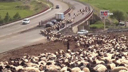 Göçerlerin Zorlu Yayla Yolculuğu Başladı