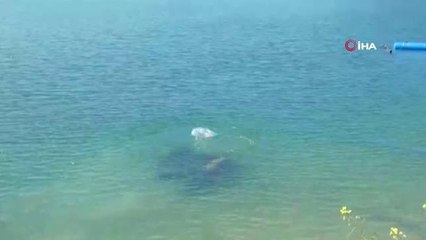 Kayıp Genç İçin Balık Adımlar Devrede