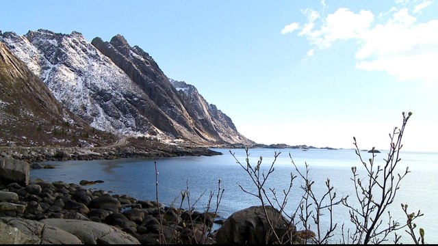 Saving Lofoten Islands: Norway's turn towards biodiversity