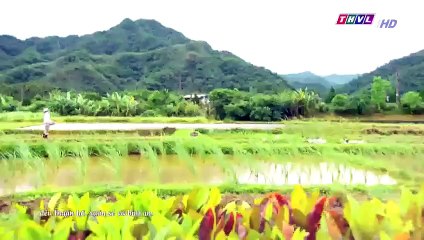 Đại Thời Đại Tập 45 - đại thời đại tập 46 - Phim Đài Loan - THVL1 Lồng Tiếng - Phim Dai Thoi Dai Tap 45