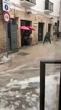Maltempo, nel barese la furia dell'acqua trascina tavoli e sedie di un bar - il video diffuso sui social