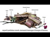 【CARI Video】 Pengasingan Sisa Pepejal Atau Sampah Sarap, Tahu Tak Macam Mana Caranya