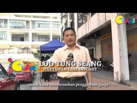 【CARI Video】 Ganja Tenangkan Fikiran, Kenapa Pula Malaysia Haramkan?