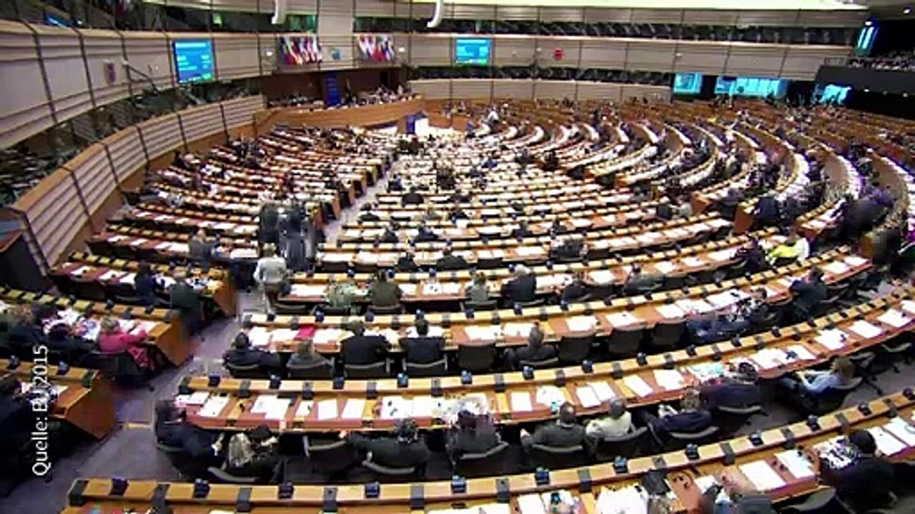 Darum geht es bei der Europawahl