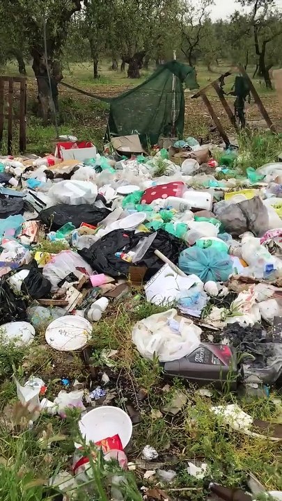 Andria: "così state rubando il futuro ai vostri figli" - il video della vergogna tra gli ulivi (che producono le olive che mangiamo)