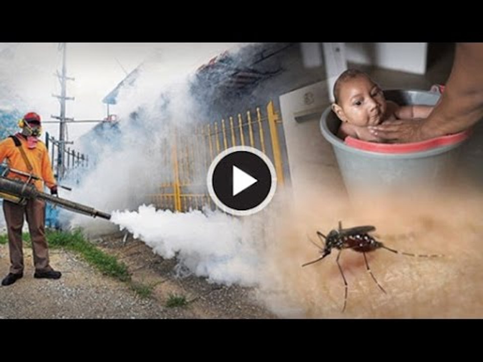 【CARI Video】Waktu bila adalah paling mudah digigit nyamuk