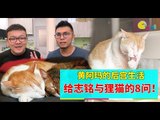 【人物故事】黄阿玛的后宫生活  给志铭与狸猫的8问！