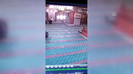 Camiye giren kedi güvenlik kamerasında - KOCAELİ