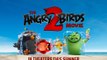 The Angry Birds Movie 2 Sneak Peek - 