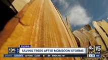 Valley man makes masterpieces out of monsoon damage