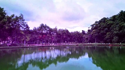 Renascimento Fênix I Institucional