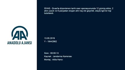 Tarihi eser operasyonu - SİVAS