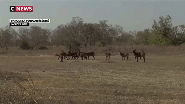 Enlèvement des deux otages français : des zones d’ombres persistent