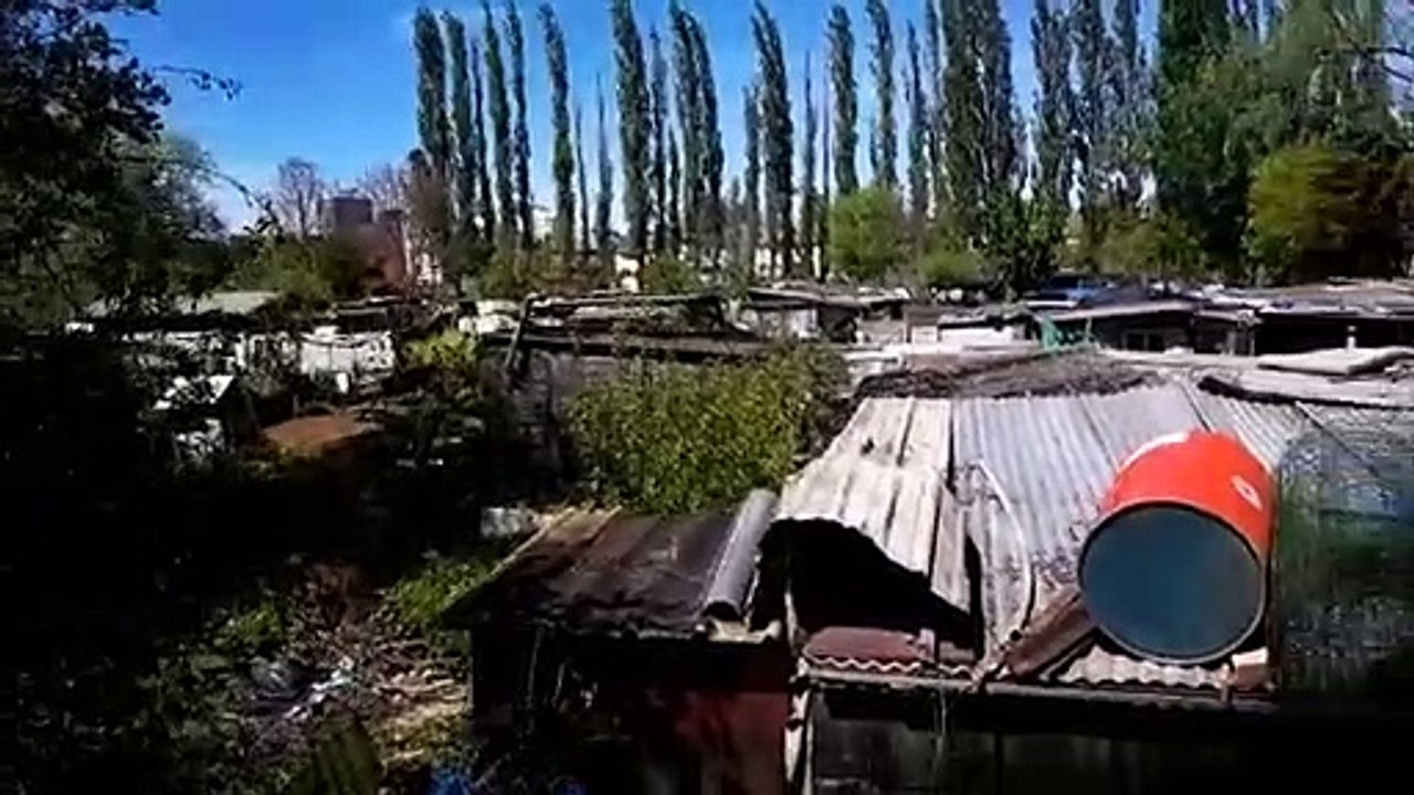 Un bidonville animal à la frontière entre Audun-le-Tiche et le Luxembourg