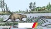 Giant Beavers Roamed Earth Thousands Of Years Ago