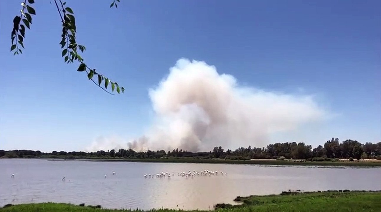 Incendio Doñana
