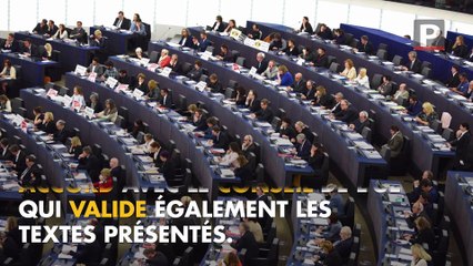 Élections européennes : quel est le rôle du député européen ?