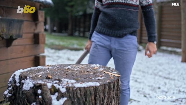 Holy-Wood! Man Claims Piece Of Bark Contains Image of Jesus Christ!