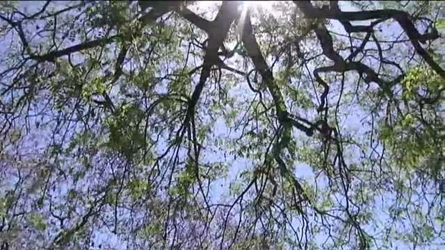 Las temperaturas veraniegas disparan el turismo de primavera en España