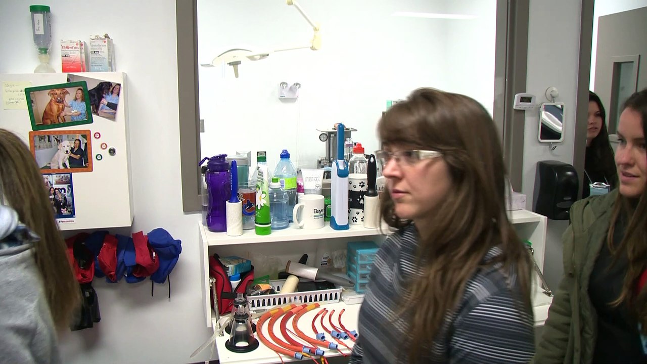 Pénurie de main-d’œuvre: des étudiantes en médecine vétérinaire visitent la région